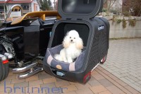 Hundebox für Trike auf Anhängerkupplung AHK