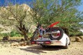 Kleinkraftradträger auf AHK für Dacia